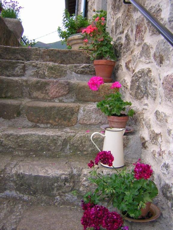 Bed and Breakfast Mas Casta Nea Thueyts Exteriér fotografie